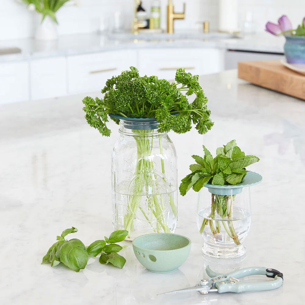 Two Produce Keepers with green herbs in water sit on a bright kitchen counter to extend produce freshness. Nearby are fresh basil leaves, a green bowl, and garden shears on a white countertop with a gold faucet.
