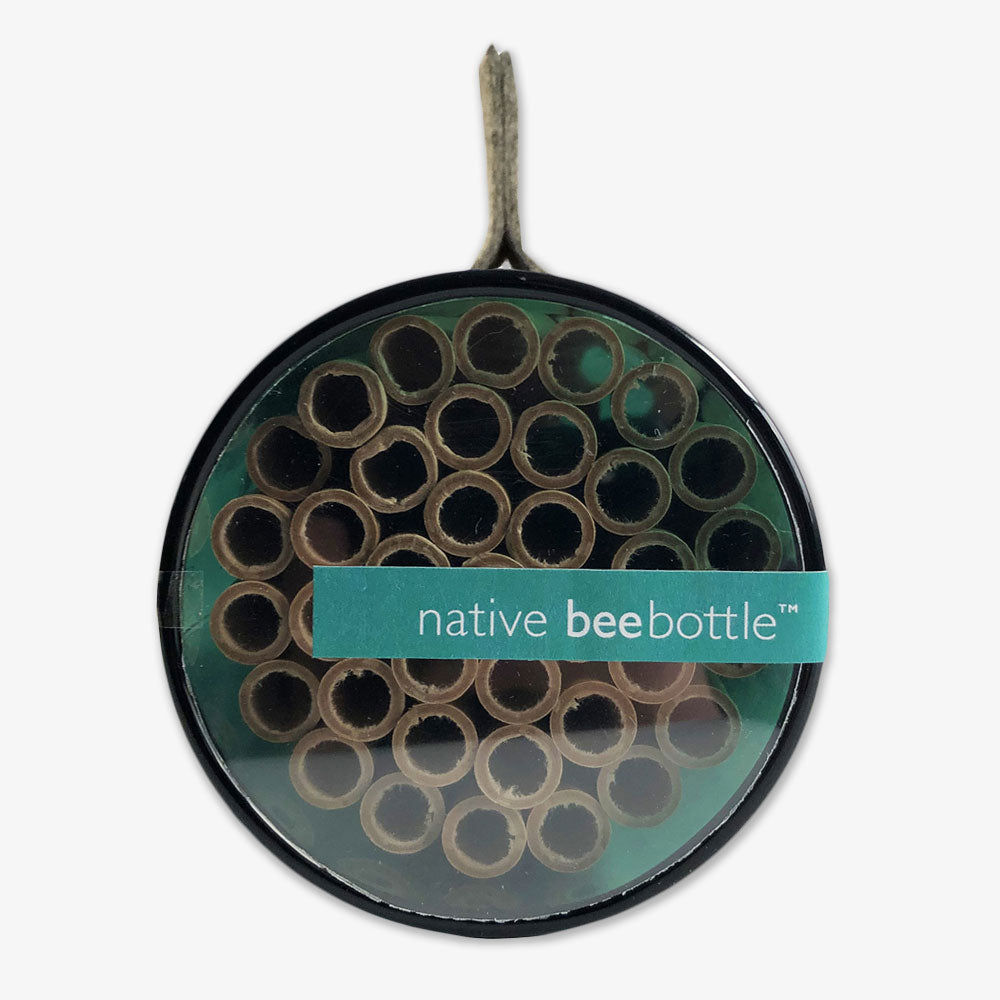 The Bee Habitat is a circular native bee house made from an upcycled wine bottle, featuring hollow tubes inside, a blue native beebottle™ label, and a top loop for hanging.