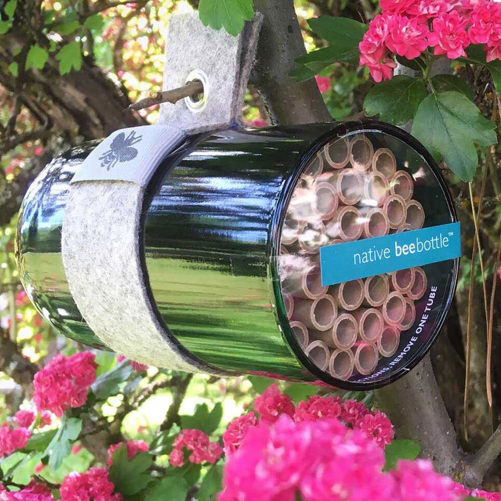 The Bee Habitat, crafted from an upcycled wine bottle filled with bamboo tubes, hangs from a tree branch amid vivid pink flowers and lush green leaves.
