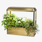 The Metal Growhouse is a brass-colored rectangular planter with a built-in LED grow light, perfect for growing healthy indoor herbs like mint, basil, and thyme.