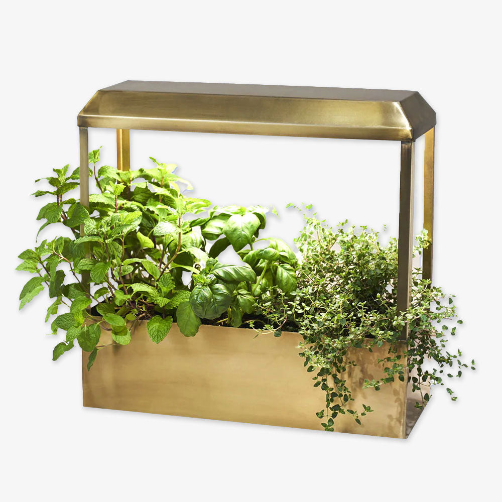 The Metal Growhouse is a brass-colored rectangular planter with a built-in LED grow light, perfect for growing healthy indoor herbs like mint, basil, and thyme.