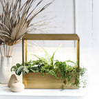 The Metal Growhouse adds a modern touch to your space, displaying vibrant green plants on a white surface beside dried palm leaves and ceramic vases, all set against a clean white background.