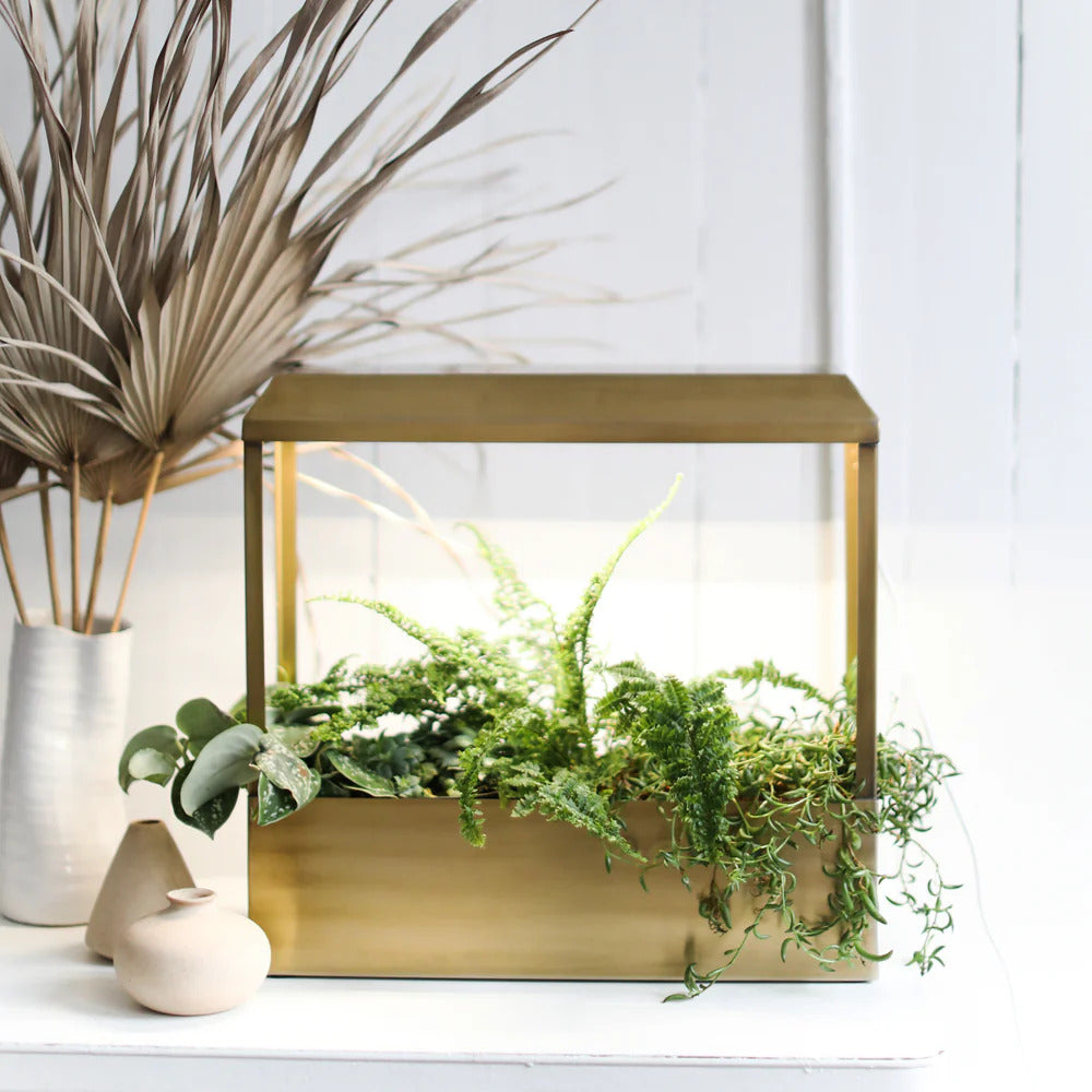 The Metal Growhouse adds a modern touch to your space, displaying vibrant green plants on a white surface beside dried palm leaves and ceramic vases, all set against a clean white background.