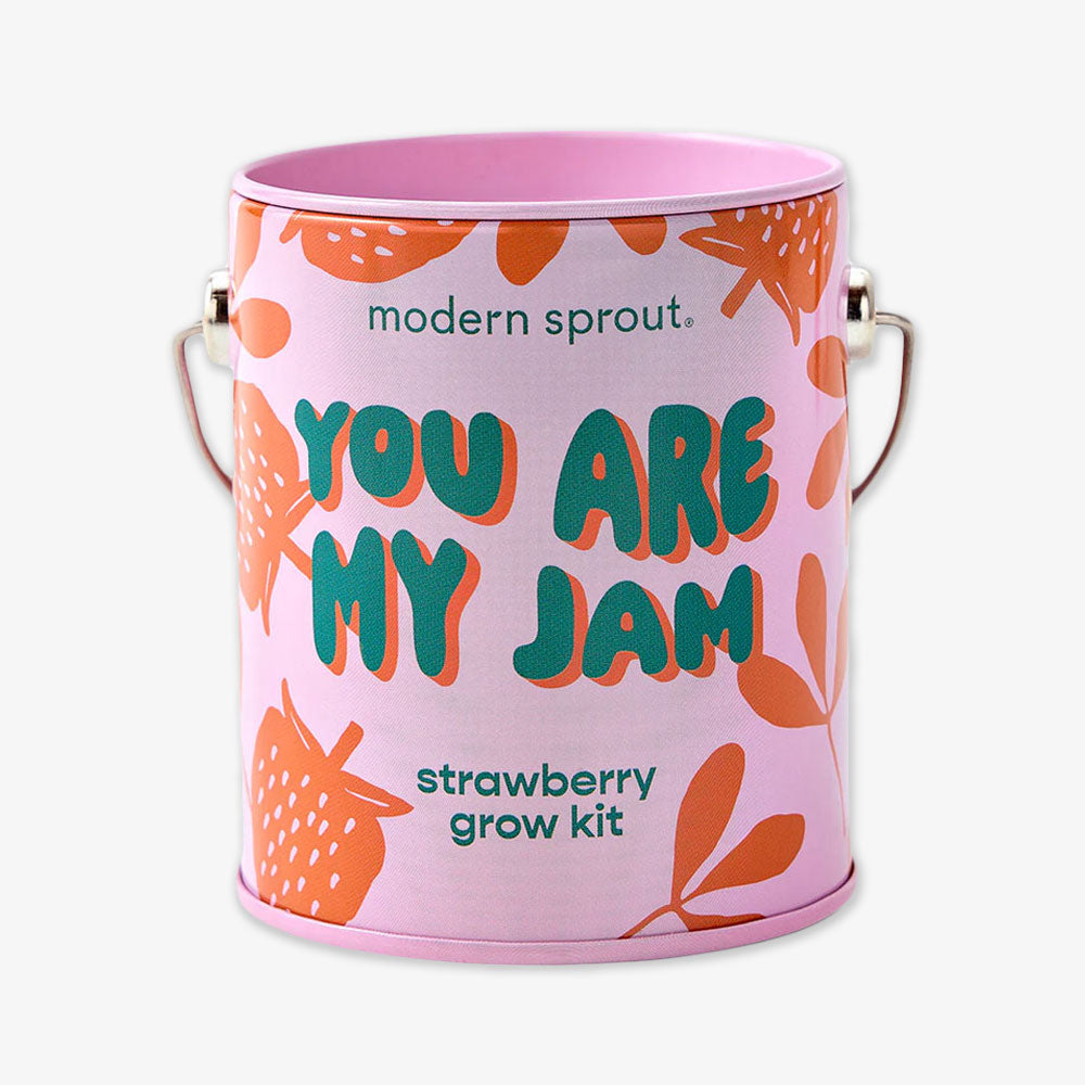 The You Are My Jam Grow Kit is a pink reusable planter with orange strawberries, leaves, and a metal handle—ideal for adding vibrant color to your windowsill garden.