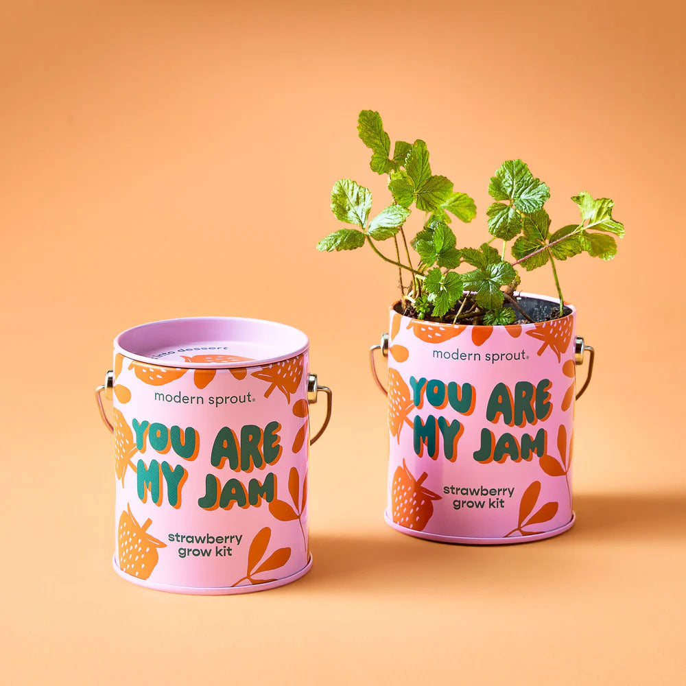 Two pink “You Are My Jam Grow Kit” cans sit on a peach backdrop—one open to display soil, the other with sprouting strawberry plants—making them ideal for a cheerful windowsill garden.