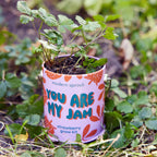 The You Are My Jam Grow Kit features a small pink reusable planter with a young strawberry plant, ideal for windowsills. The container highlights modern sprout and organic strawberry grow kit for easy at-home gardening.