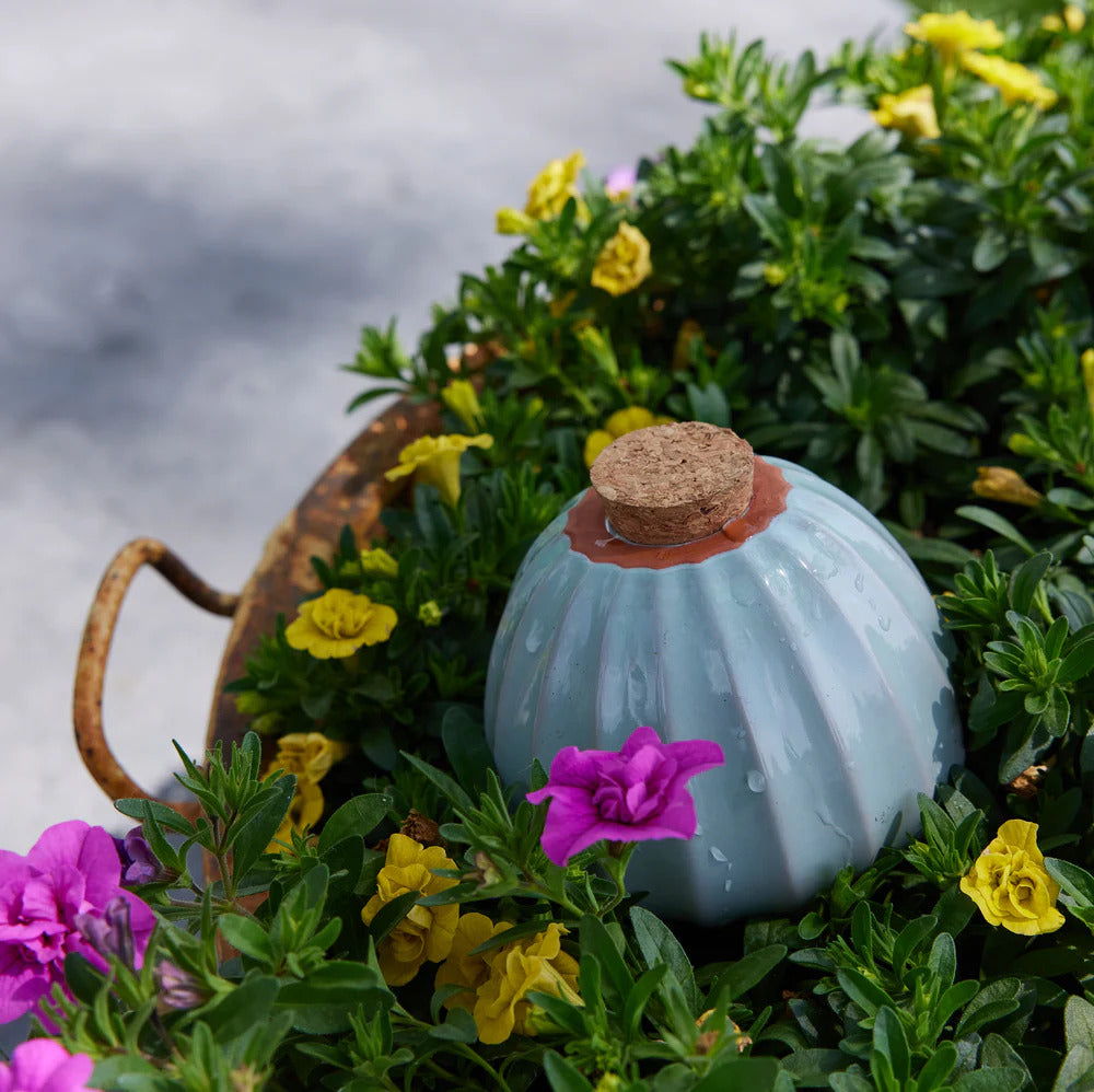 A Terracotta Watering Bulb with a cork top nestles among green foliage and bright flowers, providing garden hydration inspired by ancient irrigation techniques.