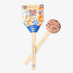 The Pollinator Seed Pop, labeled Song Bird, features colorful floral packaging and a round seed-filled top on a wooden stick—perfect for sustainable gardening with perennial wildflowers.