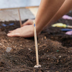 Hands press soil in a garden bed beside a wooden marker, indicating where Pollinator Seed Pops were planted—perfect for sustainable gardening. Gardening tools and gloves rest nearby.