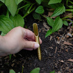 A hand holds a small, gold-colored garden tool, inserting it into soil among green plants and mulch—ideal for planting organic seeds from the Culinary Herbs Seed Library.