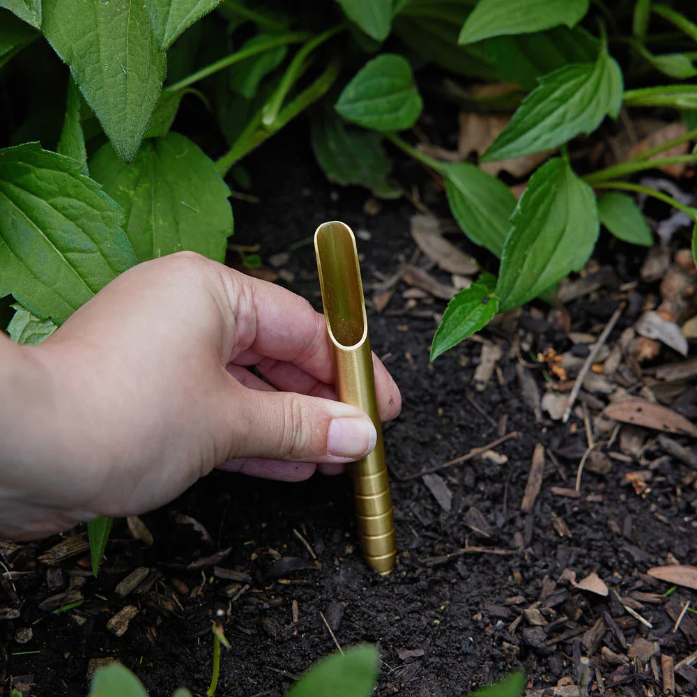 A hand holds a small, gold-colored garden tool, inserting it into soil among green plants and mulch—ideal for planting organic seeds from the Culinary Herbs Seed Library.