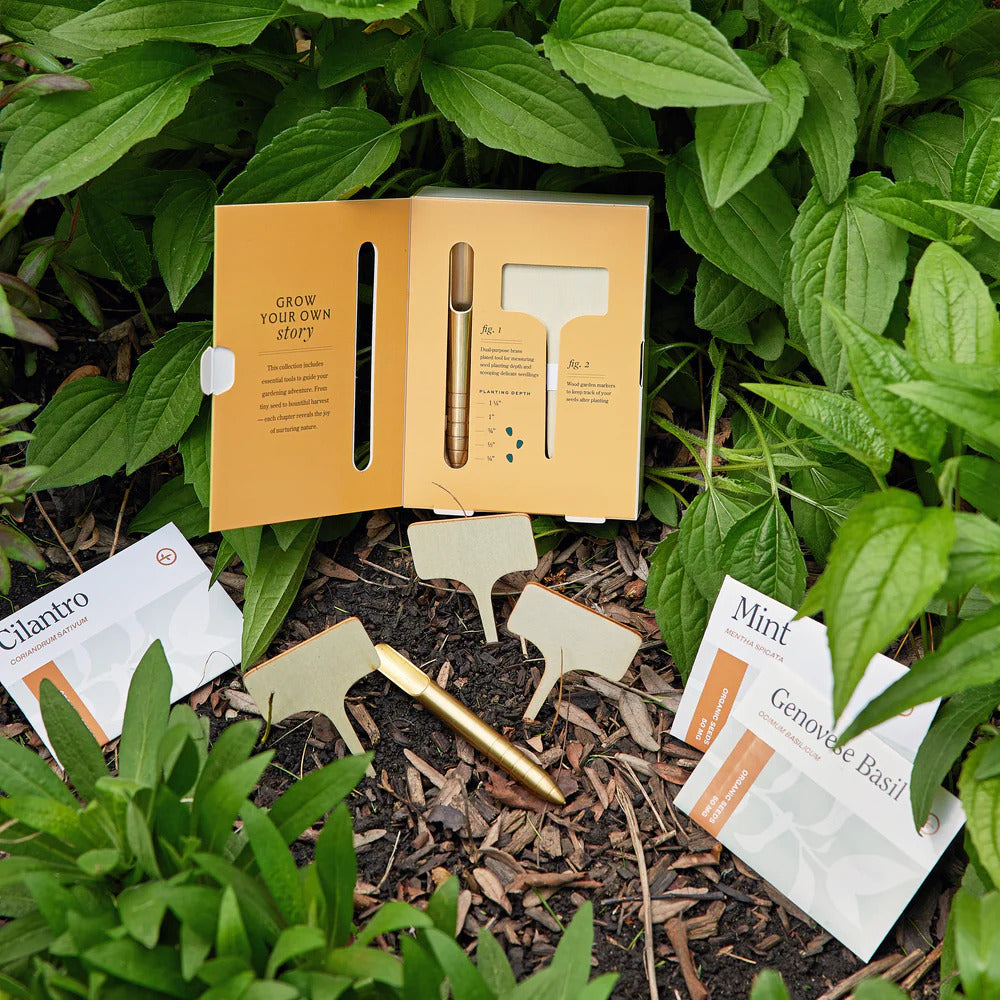 The Culinary Herbs Seed Library is shown open on soil among green plants, featuring organic cilantro, mint, and basil seeds, plant markers with a pen, instructions, and dedicated marker slots.