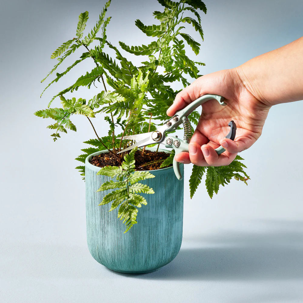 A hand uses Gardening Shears with high carbon steel blades to trim a green fern in a textured blue pot set against a pale blue background.